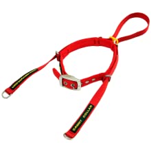 The Canny Collar is an easy to use no pull dog collar