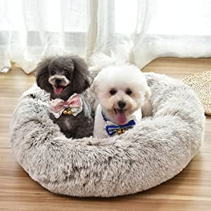 pet bed