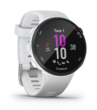 Forerunner 45S