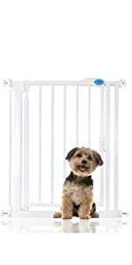 auto close pet gate