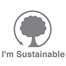 sustainable toy