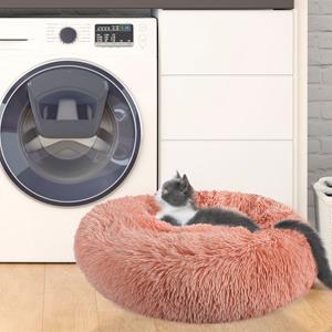 cat bed