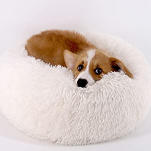 pet bed