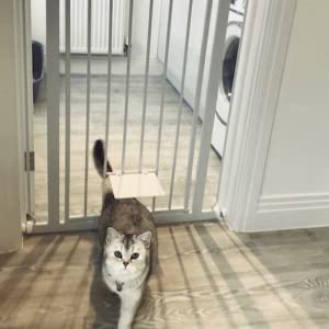Pressure Fit Gate Range