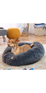 claming dog bed