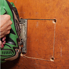 cat door for interior door