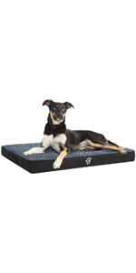 crate dog bed