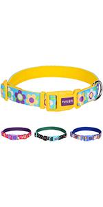 Personalized Dog Collar