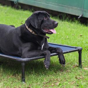 dog bed detail