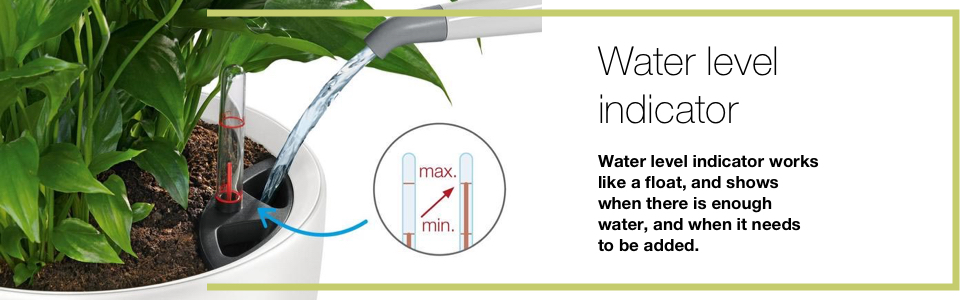 Lechuza Self Watering system