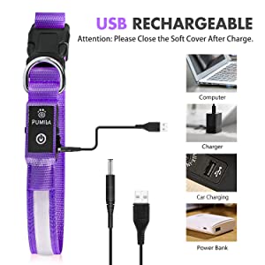 led dog collar rechargeable