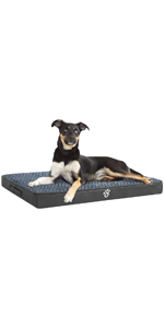 dog bed