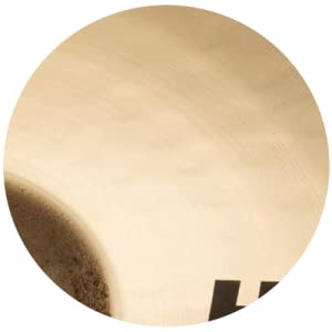 Evolution Highlights Image 3