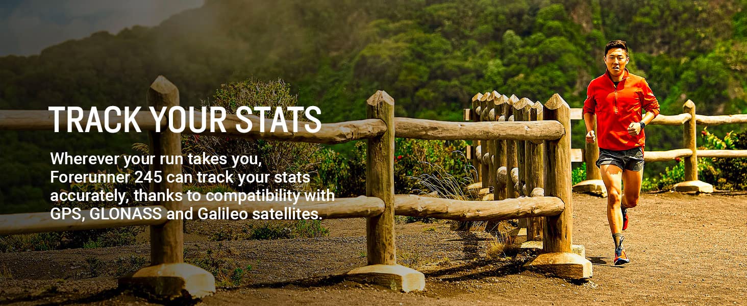 Track your stats