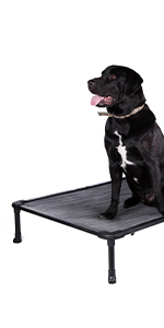 Raised dog bed for large dog elevated pet bed dog cot pet cot cooling bed chewproof bed