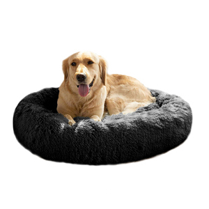 dog bed