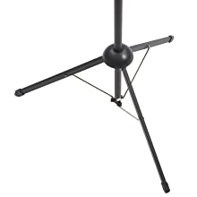 Projector Screen with Stand