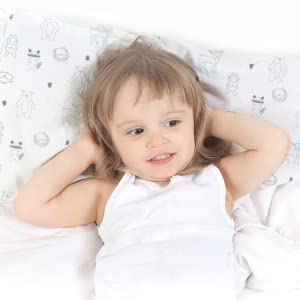 Toddler Pillow with Pillowcase, Jumbo 14X20 - Soft Organic Cotton Baby Pillows for Sleeping