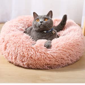 pet bed