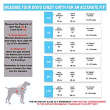 scratching, biting, skin irritation due to fleas, bacterial or yeast infection and sink allergies