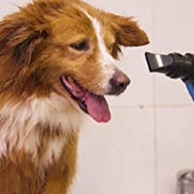 My Pet Command dog dryer