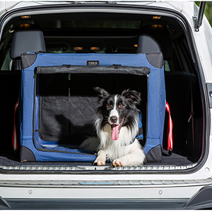fabric dog crate