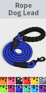 Rope Dog Lead
