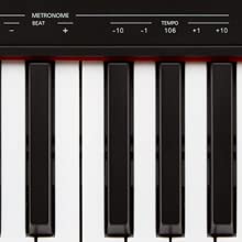 Roland, electronic, digital, piano, yamaha, casio, keyboard, full size, 88 key, beginner,student, go