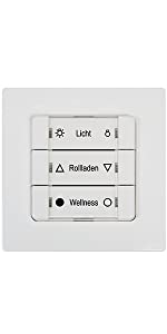 Wall switch