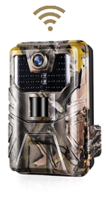WiFi trail camera