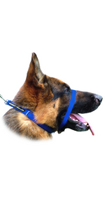 Canny Collar anti pull head collar - blue