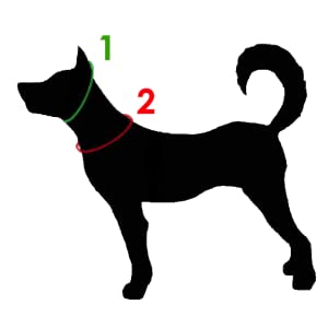 Measure your dog's neck snugly to behind the ears to ensure the correct fit of Canny Collar