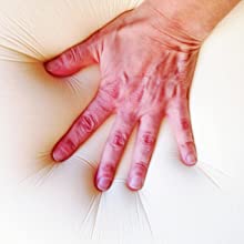 single mattress double mattress small double mattress sprung mattress spring memory foam mattress