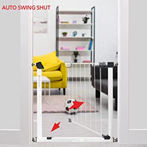 auto swing shut 
