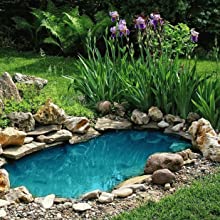Ponds and pools