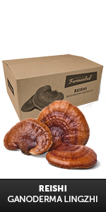 Reishi Grow Kit