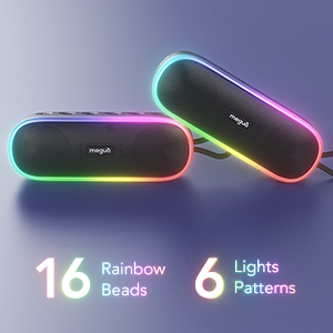 Bluetooth V5.0 Wireless Speaker