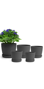 plant pots indoor