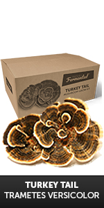 Turkey Tail Grow Kit