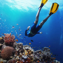 swimming goggles adult men