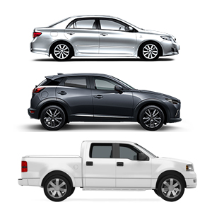 Hand Controls Device Assist