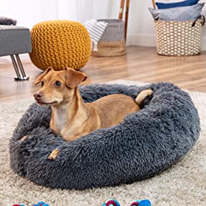 pet bed