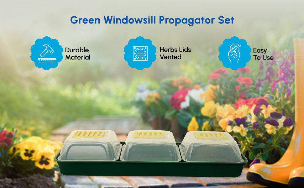 7 Piece Windowsill Propagator Set