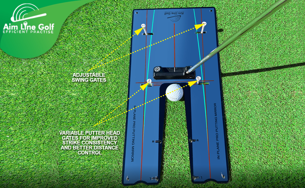 Adjustable swing gates Image