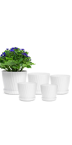 white plant pots indoor