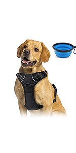 dog harness