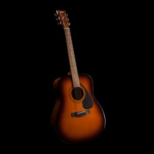 Yamaha F310