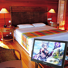 portable gaming monitor