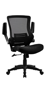 Ergonomic Desk Chair