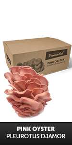 Pink Oyster Grow Kit